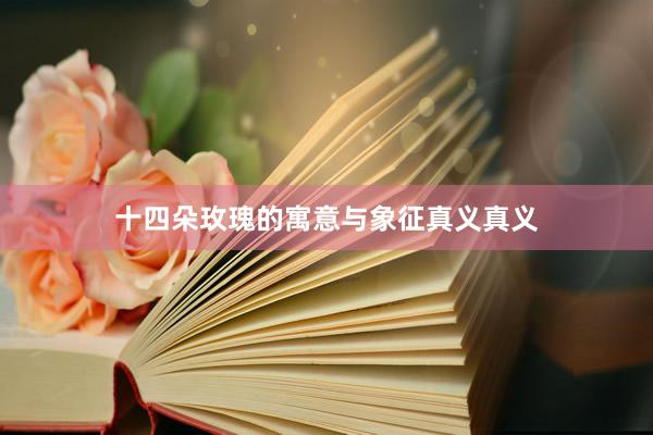 十四朵玫瑰的寓意与象征真义真义