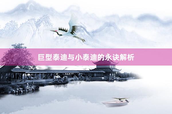巨型泰迪与小泰迪的永诀解析